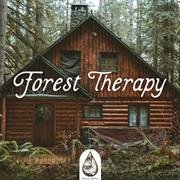 Alexrainbirdmusic - Forest Therapy