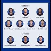 Team USA (4 Nations Face Off)