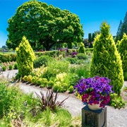 Sunken Garden, Olympia, WA
