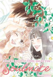Kimi Ni Todoke: From Me to You: Soulmate, Vol. 3