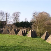 Bekesbourne Tetrahedra Field