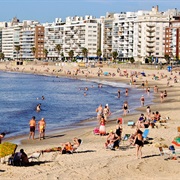 Playa Pocitos, Montevideo
