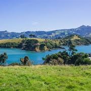 Portobello, New Zealand