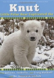 Knut (Craig Hatkoff)