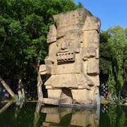 The National Museum of Antropology, Mexico City