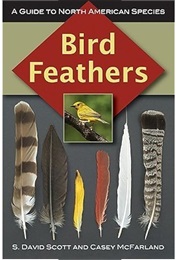 Bird Feathers (A. David Scott and Casey McFarland)