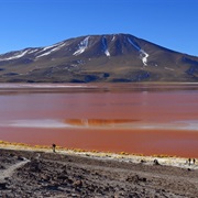Laguna Roja