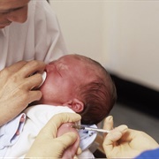 Tuberculosis Vaccine