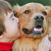 People Who Abuse Animals and Children