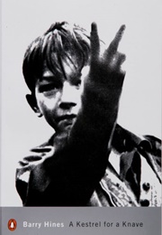 A Kestrel for a Knave (Hines, Barry)