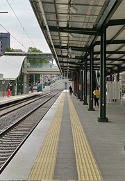 My Dad's Novels (Father of Sin)