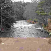 "Mystery Trail" in Union Village Dam, VT