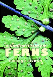 A Natural History of Ferns (Robbin C. Moran)