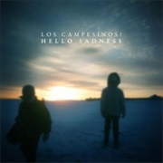 Hello Sadness (Los Campesinos!)