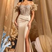 Off-Shoulder Feather Sleeves