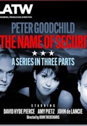 In the Name of Security (Peter Goodchild)