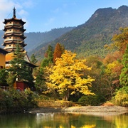 Tianmushan Biosphere Reserve, Zhejiang, China