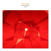 Flower & Water - Steve Roden