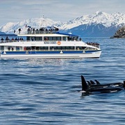 Safety Cove State Marine Park