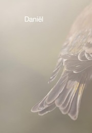 Daniël (2012)