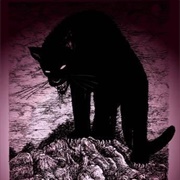 Cat Sidhe / Cat Sith