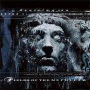 Mourning Sun - Fields of the Nephilim (2005)