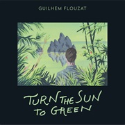Turn the Sun to Green (Guilhem Flouzat, 2021)