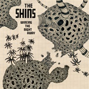 Phantom Limb - The Shins