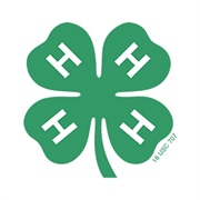 Be in 4-H