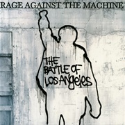 Ashes in the Fall - Rage Against the Fall