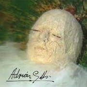 The Watcher - Adrian Gibbs