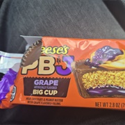 Pb&J Reeses Cup