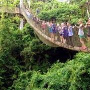 Kakum Canopy Walkway (Ghana)