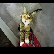 Welcomes U Back Home