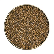 Kaluga Caviar
