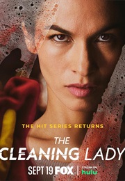 The Cleaning Lady (2022)