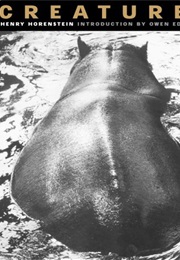 Creatures (Henry Horenstein)