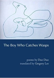 The Boy Who Catches Wasps (Duo Duo)