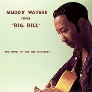 Muddy Waters Sings Big Bill Broonzy