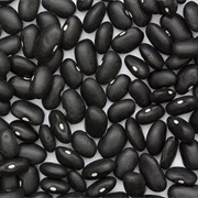 Black Turtle Beans