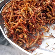 Belalang Goreng