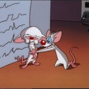 S4.E6: A Legendary Tail/Project BRAIN