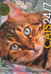 Cats 24/7: Extraordinary Photographs of Wonderful Cats (Rick Smolan ,  David Elliot Cohen)