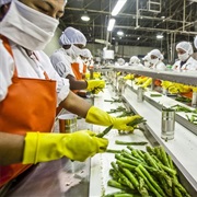 Food Processing Plant