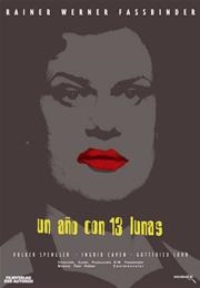 In a Year With 13 Moons (1978)