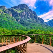 Kirstenbosch "Boomslang" Bridge, Cape Town, South Africa