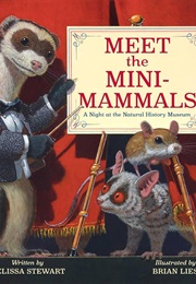 Meet the Mini-Mammals: A Night at the Natural History Museum (Melissa Stewart)