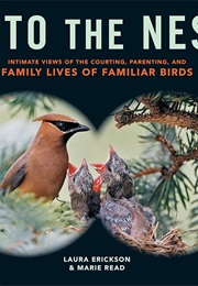 Into the Nest (Laura Erickson)