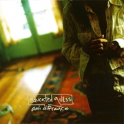 Educated Guess - Ani Difranco