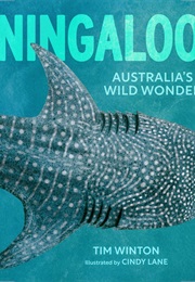 Ningaloo (Tim Winton)